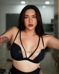 TSolga99 Kuala Lumpur Transex Whatsapp: +639678468015
Snapchat: Olga.hermosa02 
Telegram: olgahermosa02
Instagram: @mariaolgahermosa

☑️FIRST TIMERS ☑️BUSINESS MAN ☑️NICEGUY 

Hello! I’m OLGA, 💎 
A Beautiful Sunshine from Philippines YOU WILL wish to MEET. 
An Extraordinary companion that awakens the Sensual spirit in you. Pamper you like a King
& Give you a NEVER-ENDING SATISFACTION..💋

•🐰🎀TO MY FUTURE PLAYMATE 🎀🐰•

Are YOU looking for a DECENT Courtesan with 
a wonderful personality for an Outcall? **

FIRST Amazing Experience? GFE? THREESOME w/ GUYS,GIRLS,TS? PORNSTAR Experience? Light DOMINATION? Costume FETISH/RolePLAY? PROSTATE/B2B Massage? SISSY Feminisation? 

or maybe,

You just simply need a companion??

someone to talk to.. 

someone to listen..

Someone who wont hesitate to crack a joke 
even if its corny just to make u happy. 👻
IF YOU DO, (Then get that balls ready)
COME TO ME and TRUST ME! 👑🥂
Let's make your FANTASY into REALITY. 😉


*Incalls*
(I Stay in a very nice & clean Apartment w/ parking space. UNLIMITED CONDOMS.)


🎀• THINGS TO KNOW ABOUT ME •🎀

•I’m BISEXUAL & VERSATILE 🍒 
I EAT Pussy too.👅💦 
I enjoy fucking Both Guys&Girls.
I’m the best of both world. 🌍

•I’m KINKY & NAUGHTY 👅
Sometimes only, I’m serious!!!😜🙈

 •SMOOTH TIGHT ASS 🍑 
Clean shaved ass, Super Tight & Fluffy. 🤗
Lickable, Edible, Fuckable. 🍎🔥

•GENUINE💎
Im very talkative, I love deep talks. 
THE BEST DATE YOU’LL EVER HAVE. 
I love to ask my clients about their fascinations & Hangout W/ them, Listen to them, And give the BEST of MY ABILITY to SATISFY them. 😊

•WELL SPOKEN'💡📘 ENGLISH FLUENT. 
English Major Graduate. Communicative.
I love reading books.I can ride any topics either Politics,History,Sports,Nature,Business or MONKEY BUSINESS. 😎

•FULLY FUNCTIONAL HARD COCK 🍆
Fully shaved and thick, perfect for fucking
And deep troathing. Fully loaded balls too.☄️

•BLOWJOB QUEEN 👅 (100% LEGIT) 🏆
I love licking balls, specially thigh areas.
PASSIONATE SUCKER.💦

•A WILD ONE 👠 (Addictive) 💯
I love Playing ass. It turns me on so BAD!💦
Slow Fingering your tight ass before Digging 
my cock inside. 😈 

•HYPNOTIC 🆘
Dont you tell me I didn’t warned you. 💋

💎💎💎💎💎

•TO BOOK ME: 
✅BE STRAIGHT FORWARD.
✅TELL ME THE EXPERIENCES YOU WANT TO GET.
✅1 HOUR PREPARATION.

•• ✋🏿LOOK NO FURTHER..THERE’S NO OTHER🤚🏿 ••

•Don't limit yourself to try an extraordinary sexual experiences, Only with the BEST PLAYMATE in Town..

THE ONE and ONLY, Olga Hermosa ♥️