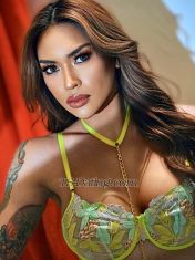 TSolga99 Kuala Lumpur Transex Mobile: +60179298652
Whatsapp: +63 969 185 2708
Telegram: olgahermosa02
ID: mariaolgahermosaa
Snapchat: Alxbryg

☑️FIRST TIMERS ☑️BUSINESS MAN ☑️NICEGUY 

Hello! I’m OLGA, 💎 
A Beautiful Sunshine from Philippines YOU WILL wish to MEET. 
An Extraordinary companion that awakens the Sensual spirit in you. Pamper you like a King
& Give you a NEVER-ENDING SATISFACTION..💋

•🐰🎀TO MY FUTURE PLAYMATE 🎀🐰•

Are YOU looking for a DECENT Courtesan with 
a wonderful personality for an Outcall? **

FIRST Amazing Experience? GFE? THREESOME w/ GUYS,GIRLS,TS? PORNSTAR Experience? Light DOMINATION? Costume FETISH/RolePLAY? PROSTATE/B2B Massage? SISSY Feminisation? 

or maybe,

You just simply need a companion??

someone to talk to.. 

someone to listen..

Someone who wont hesitate to crack a joke 
even if its corny just to make u happy. 👻
IF YOU DO, (Then get that balls ready)
COME TO ME and TRUST ME! 👑🥂
Let's make your FANTASY into REALITY. 😉


*Incalls*
(I Stay in a very nice & clean Apartment w/ parking space. UNLIMITED CONDOMS.)


🎀• THINGS TO KNOW ABOUT ME •🎀

•I’m BISEXUAL & VERSATILE 🍒 
I EAT Pussy too.👅💦 
I enjoy fucking Both Guys&Girls.
I’m the best of both world. 🌍

•I’m KINKY & NAUGHTY 👅
Sometimes only, I’m serious!!!😜🙈

 •SMOOTH TIGHT ASS 🍑 
Clean shaved ass, Super Tight & Fluffy. 🤗
Lickable, Edible, Fuckable. 🍎🔥

•GENUINE💎
Im very talkative, I love deep talks. 
THE BEST DATE YOU’LL EVER HAVE. 
I love to ask my clients about their fascinations & Hangout W/ them, Listen to them, And give the BEST of MY ABILITY to SATISFY them. 😊

•WELL SPOKEN'💡📘 ENGLISH FLUENT. Communicative.
I love reading books.I can ride any topics either Politics,History,Sports,Nature,Business or MONKEY BUSINESS. 😎

•FULLY FUNCTIONAL HARD COCK 🍆
Fully shaved and thick, perfect for fucking
And deep troathing. Fully loaded balls too.☄️

•BLOWJOB QUEEN 👅 (100% LEGIT) 🏆
I love licking balls, specially thigh areas.
PASSIONATE SUCKER.💦

•A WILD ONE 👠 (Addictive) 💯
I love Playing ass. It turns me on so BAD!💦
Slow Fingering your tight ass before Digging 
my cock inside. 😈 

•HYPNOTIC 🆘
Dont you tell me I didn’t warned you. 💋

💎💎💎💎💎

•TO BOOK ME: 
✅BE STRAIGHT FORWARD.
✅TELL ME THE EXPERIENCES YOU WANT TO GET.
✅1 HOUR PREPARATION.

•• ✋🏿LOOK NO FURTHER..THERE’S NO OTHER🤚🏿 ••

•Don't limit yourself to try an extraordinary sexual experiences, Only with the BEST PLAYMATE in Town..

THE ONE and ONLY, Olga Hermosa ♥️