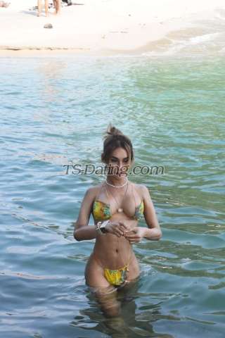 trans girl TSpia 3721578