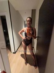 Tashitash Ashkelon TS escort 