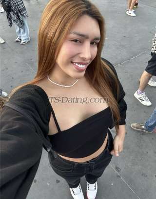 trans girl Tgirlsassy 6449361 trans girl Tgirlsassy 6449361