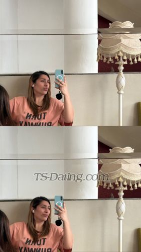 trans girl Tgirlsassy 9212503 trans girl Tgirlsassy 9212503