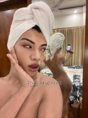 The Rihana Mumbai Transex  Ciao ragazzi, sono Rihana, la regina dei vostri sogni. Sono una modella e una trans pre-operatoria di 21 anni con un cazzo enorme (8,5) e un seno (36). Ho un fisico per cui la maggior parte delle ragazze ucciderebbe e tutti i ragazzi si sforzerebbero. Prima le cose importanti, Sono sicuro al 120% di essere pulito e la pulizia è la cosa più vicina alla santità. In secondo luogo, non sono solo versatile a letto, ma anche flessibile, so fare più cose contemporaneamente! E darvi soddisfazione è la mia eredità per sempre! Terzo, farò in modo che il nostro tempo valga la pena, perché mi considero una donna di classe e ben educata, in grado di realizzare le tue fantasie. Mi piacerebbe portare il mio lavoro a livello professionale E sarei più che disposto a coccolarti come un re Ma la conclusione è: il tuo piacere è la mia soddisfazione Perché ti meriti il meglio Personalità molto passabile e piacevole, buon conversatore Con una pelle liscia e setosa Ben dotato di un morbido e adorabile Dotato di un rubinetto da 8,5, (più in alto) Completamente funzionale e può diventare duro dappertutto E sono sicuro che amerai anche il mio culo liscio e sinuoso con un grosso cazzo Per qualsiasi domanda, lasciatemi un messaggio! Allora provate! Prenotate subito! Contattami su WhatsApp + 6291551610 SPETTACOLO CAM Pagamento su: Qualsiasi trasferimento di denaro online e vendita di VIDEO PORNO XXX e anche incontri a pagamento….