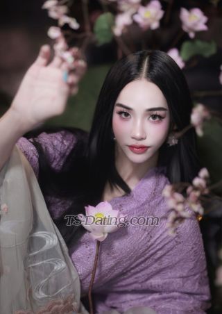 trans girl Tichapapron 8084703 trans girl Tichapapron 8084703