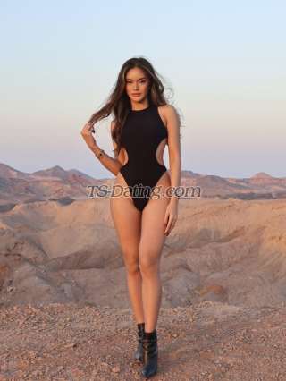 trans girl TifannyLove 2138725