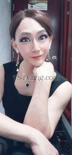 trans girl Tiffany1229CD 7398342