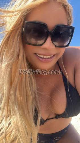 trans girl TiffanyTs 3529904