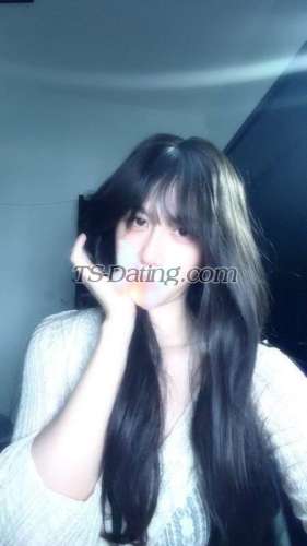 trans girl Tiffanyhk 4727591