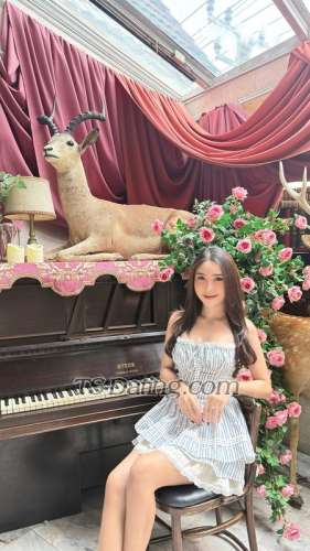 trans girl Tifsalsxx 8771798