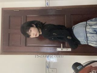 trans girl TinyLam 9522655 trans girl TinyLam 9522655