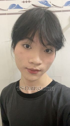 trans girl TinyLam 9522699 trans girl TinyLam 9522699