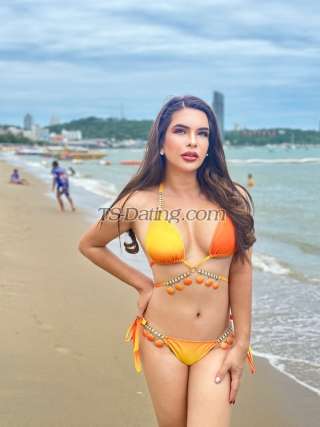 trans girl Trannyxx 1669977