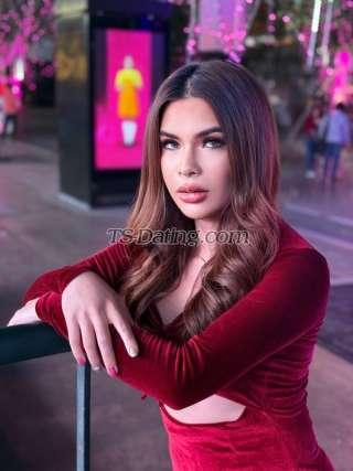 trans girl Trannyxx 7035006