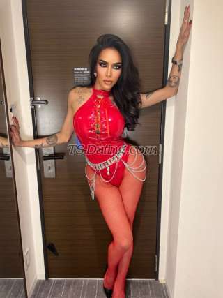 trans girl Transalodia 6620643