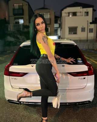 trans girl Transalodia 7414495