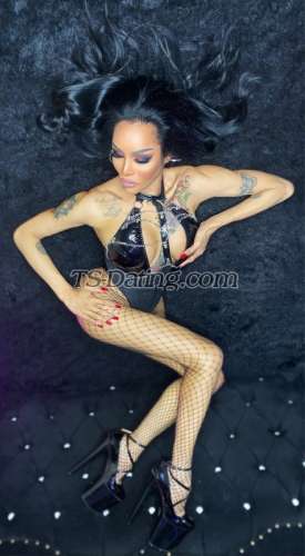 trans girl Transalodia 8752930