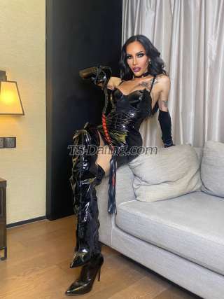 trans girl Transalodia 9685323