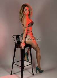 Transandra Causeway Bay Transex (EVERYTHING IS TEMPORARY LIVE LIFE TO THE FULLEST
)THE TRANS WILD QUEEN OF SEX IS IN THE TOWN  ITS
GOOD TO BE BACK ASIAN LATINA LADYBOY DON’T MISSED MY
SERVICES                    LIMITED TIME ONLY DONT
MISSED IT and TRY You can call me ALEXANDRA I’m
a mixed blood cuba/Phil A foxy model in a local lingerie
company. I’ve traveled around Asian and Western countries.
From Australia, Singapore, Malaysia, Vietnam, Taiwan,
Thailand and Japan for doing modeling And endorsing local
brands lingerie still counting!
🇦🇺🇵🇭🇭🇰🇸🇬🇲🇾🇻🇳🇹🇭🇯
🇵 See you when I see you.height: 5'8” (172cm)
age: 29Cocksize: 6.7 inchLine
transversatileNew Whatsapp +639173894365Wechat
TransandrasiaTelegram TransAlexandra Viber number
09173894365HK number 70849358iMessage
70849358Sex,
When⁉️✔️Afternoon,✔️Mornings,✔�
��Weekends,✔️Evenings,✔️Noon,✔️La
te Night,✔️WeekdaysDon’t base on
the picture it might more of edited and photoshot base on
the original performance and sizesI believe that
sex is one of the most beautiful natural wholesome things
that money can buyI want your body on top of mine
body,you well fuck me or I well fuck you until can't feel my
legs. Whisper in your ear to cum for me while you dig your
nails into my back. The next day I'll hold your hand and
kiss your cheek when nobody is looking. I'll  treat you like
a prince and give that smile i save just for
youThe pure tan skin sexy and gorgeous ladyboy is
newly  arrived here in  METRO  and ready to serve you my
service rock young and wild in bed sexy hot gorgeous ladyboy
top bottom versatile. Are you feeling stressed, need to
unwind or just need to cum. Well im your girl. Alexandra is
my name. Im an ultra feminine non op ts woman. Im 29yrs old
170cm tall with c cup breasts. Im smooth all over 6inch'
fully functional and do love to use it. I can be both
passive and active. Im naturally feminine so i don’t take
hormones which guarentees i will get hard if thats your
desire. Love oral , both giving and recieving. I can be your
dinner companion, your date or your naughty
mistress.Before you start to judge me, Step into
my shoes and walk the life I'm living and if you get as far
as I am, just maybe you will see how strong I really
am..Exploring and being happy life is about living
with no regrets, to push the boundaries and not have any
limitations Be yourself,be comfortable with who you are
and the best rest will sort itself out Be open minded
enough to not judge others,to free your mind and go beyond
norm❌=NO RUSH❌=NO
DRAMA✔️=MY SERVICE
OFFER✔️=PAYPAL SHOW
$$$🔛✔️60mins ✅ BODY NUDE NAKED
MASSAGE ✅ CUT COCK✅ SHAVE✅
CLEAN✅ HARD THICK ✅ ORAL BLOWJOB✅ CUM
TOGETHER ✅ CUMSHOTS✅ MORE CUM LOAD✅ CUM
TO YOUR MOUTH✅ CUM TO YOUR FACE ✅ CUM YO YOUR
BODY✅ FRENCH KISSING✅ SUCKING EACH OTHER
✅ FUCKING EACH OTHER ✅ ULTIMATE GIRLFRIEND
EXPERIENCE ✅ PASSIONATE AND SENSUAL SERVICE✅
MISTRESS ✅ ROLE PLAYING          
        ✔️Right now                    ❌ not
later❤️❤️SATISFACTION GUARANTEE ❤️❤️