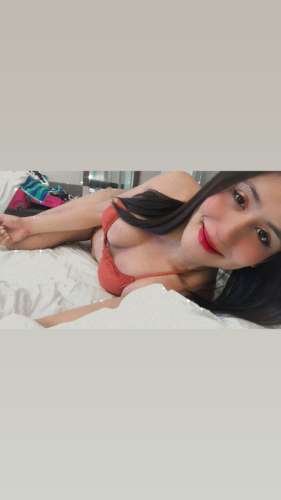 trans girl TransbabeAmy 4691026 trans girl TransbabeAmy 4691026