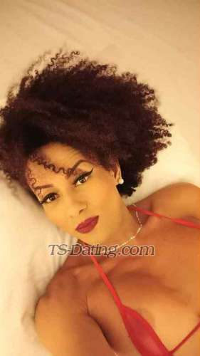 trans girl Translatina 0693323 trans girl Translatina 0693323