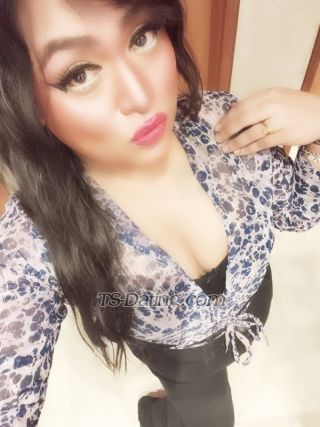 trans girl Transprinces 1749407 trans girl Transprinces 1749407