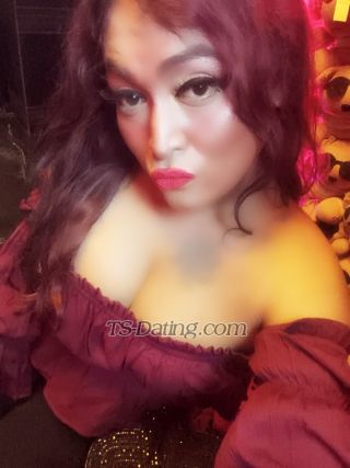 trans girl Transprinces 4343404