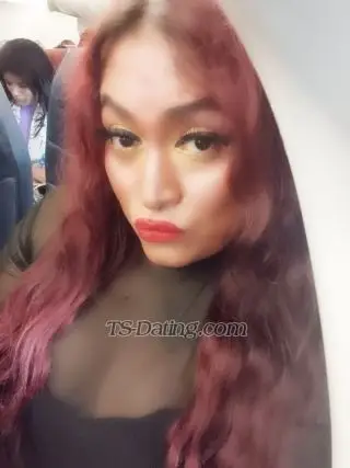 Shemale Transprinces 7869175 Shemale Transprinces 7869175