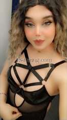 Trans sara Bruxelles Transex Je suis trans , j'ai 25ans Pour me contacter, appelez le 0484413729 