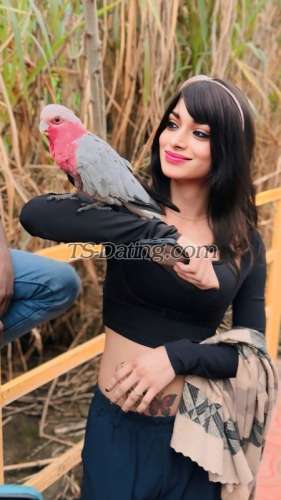 trans girl Trishtiwari 7241755