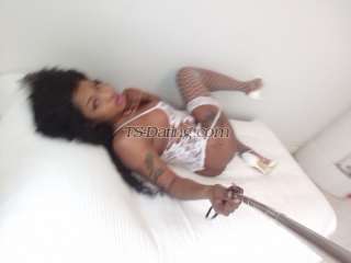 trans girl scarletIbis 2382299