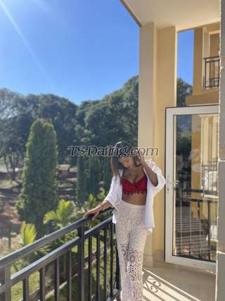 trans girl TsAnaya 9912503