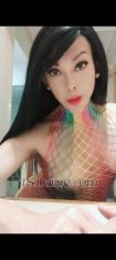 TsAndini Bali Transex Hello my dear friends, lovers & fans

It’s me, TS Andini, your sweet & beautiful ladyboy. I'm finally back in Bali, Indonesia.

I’m sure you will enjoy my services as I do everything with passion and fully focused on your pleasure:

- fully functional, versatile, top & bottom 🤸🏻🍑🍆
- big hard cock that can cum 🍌💦
- 24/7 available, no rush ⏱️
- poppers available & ice cream lover 🧊
- private party 🪩❄️💨
- GFE, cuddling & romantic 💝
- long kissing, deep sucking & swallowing 💋
- 69 & nipple play ♋
- rimming & fucking 👅🍑
- first timers are welcome, I will take special care of you 👐
- horny & ready to cum together 💦

Are you ready for an unforgettable sensual experience tonight? I'm looking forward to hear from you and hopefully see you soon. 💋

Mobile: +6288987398103
Whatsapp: +6288987398103

PS – I’m not a hardcore mistress, I'm not looking for kinky slaves and I don’t do golden shower – Only light BDSM.