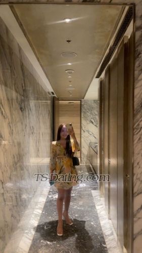 trans girl TsAngelica28 3205986