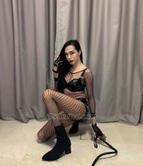 TsBigCock2026 Bangkok Transex