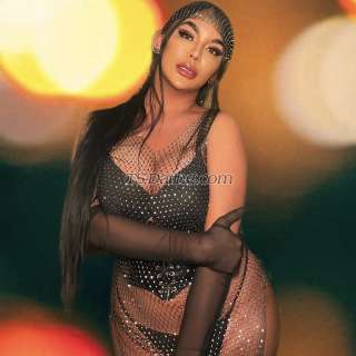 trans girl TsHailey 3943463 trans girl TsHailey 3943463