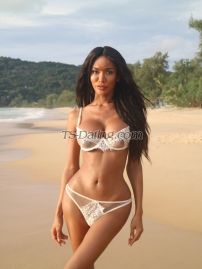 TsLiona Krabi Transex WeChat : TS_Liona69📌FIRST TIME ARE VERY WELCOME
📌POPPER AVAILABLE📌SEX CAM
AVAILABLE📌THREESOME AVAILABLE❌ NO
BAREBACK❌ NO GAME & DRAMA  Hi I am Liona,
high class escort pre-op fully functional transsexual. At
just 25years old with exotic model look. As you
can see from my photos (which are 100% real and recent), I
have a slim body, long legs and a curvy butt. My breasts are
an enhanced cup E . My skin is dark smooth silky, but
you’ll have to come feel for yourself. I weigh 55kg and am
180cm tall model look to serve you. I am
well-spoken,have a warm, naturally feminine personality that
I know will immediately put you at ease when we
meet. Are you a nervous first-timer? Maybe you
have some experience but it left you a little disappointed.
Tell me what you want. I can be as passive or active as you
want me to be. I get hard easily with my 7 inches uncut and
love to climax as much as you can.I can do incall,
I am staying at Luxury apartments very comfortable and
private discreet and no ID needed and also can outcall to
your place. My rates are non-negotiable, you get
what you pay for and price come with class :)My
service based on girlfriend experience but I can do A-Z
which is everything! Just tell me what’s your
preference:) How to contact me?Twitter 
@Ts_lionaInstagram  
Ts_liona ______________  I’ll blow
your mind and treat you like a king since the door is
open!  Hope to see you guys soon
Love….Liona ❤️