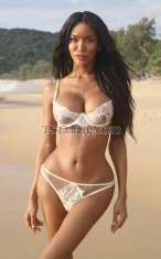 TsLiona Karbi Transex 📌LA PREMIÈRE FOIS EST TRÈS BIENVENUE 📌POPPER DISPONIBLE 📌CAM SEXE DISPONIBLE 📌TRIO DISPONIBLE ❌ PAS DE BAREBACK ❌ AUCUN JEU ET DRAME Salut, je suis Liona, escorte de grande classe pré-op transsexuelle entièrement fonctionnelle. À seulement 25 ans avec un look de modèle exotique. Comme vous pouvez le voir sur mes photos (qui sont 100% réelles et récentes), j'ai un corps mince, de longues jambes et des fesses rondes. Mes seins sont un bonnet E rehaussé. Ma peau est sombre, lisse et soyeuse, mais vous devrez venir sentir par vous-même. Je pèse 55 kg et je mesure 180 cm et je cherche à vous servir. Je parle bien, j'ai une personnalité chaleureuse et naturellement féminine qui, je le sais, vous mettra immédiatement à l'aise lors de notre rencontre. Êtes-vous un débutant nerveux? Peut-être que vous avez une certaine expérience, mais cela vous a laissé un peu déçu. Dis moi ce que tu veux. Je peux être aussi passif ou actif que vous le souhaitez. Je deviens difficile facilement avec mes 7 pouces non coupés et j'aime culminer autant que possible. Je peux faire des appels, je séjourne dans des appartements de luxe très confortables et privés discrets et aucune pièce d'identité n'est nécessaire et je peux également sortir chez vous. Mes tarifs ne sont pas négociables, vous en avez pour votre argent et le prix vient avec la classe :) Mon service est basé sur l'expérience de ma petite amie mais je peux faire de A à Z, c'est tout ! Dites-moi simplement quelle est votre préférence :) Comment me contacter ? Twitter @Ts_liona Instagram Ts_liona ______________ Je vais vous époustoufler et vous traiter comme un roi puisque la porte est ouverte ! J'espère vous voir bientôt Love….Liona ❤️