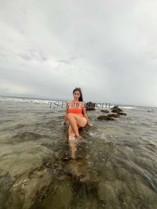 trans girl TsMicaanne 0667962