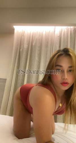 trans girl vivreak 7739505