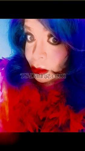 trans girl TsSalma 9313333