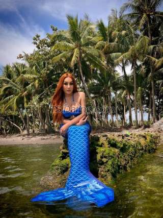 trans girl TsShane 9525517