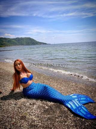 trans girl TsShane 9525532