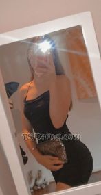 Ts Vannessa69 Kota Kinabalu Transex Hi I am new here Vannessa sabahan local good service good
blowjob 69 top and bottom Incall available outcall
available also hotel✅ condo✅
+601168529725What’s app me directly
01168529725 