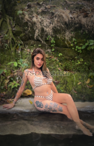 trans girl TsWildhottier 6470959