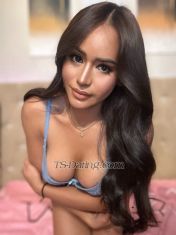 TsYhumie Sasebo Transex Wanted to do unforgettable Hot great 
Camshow or else have me for real in meet pm me directly 😘now in sasebo😘 YOUR FULLY FUNCTIONAL TS YHUMIE💋
Watsapp +639951668049
club.fans/tsyhumie
Vibr + 639951668049
Wechat Yhumie_ts
Telegram @yhumie123
Instagram yhumie.moral
Line yhumie_26

https://luvi.fans/tsyhumie

https://alua.com/tsyhumie

ONE ON ONE SENSUAL EXPERIENCE WITH ME IN MY PRIVATE ROOM EVERY MINUTE IS WORTH UR PENNIES.
AND AN UNFORGETABLE EXPERIENCE AWAITS YOU ! HIT ME ON WHATSAPP NOW ! AND SEE WHAT IS WAITING FOR YOU!

Are you looking for real good fucker / sucker with complete package you want ? MY 7 INC BIG DICK FULLY FUNCTIONAL IS SO FULL ! ALWAYS WANT TO EXPLODE ! IM READY TO MAKE U CUM AND IM ALWAYS READY TO CUM ! I DONT TAKE HORMONES THATS WHY U WILL SEE MY BIG DICK WORKING FUNCTIONALLY !


​Warning ⚠️⛔️
- I HATE CHEAP
- NO CONDOM NO FUCK
- I HATE BAD BREATH

NO ONE DESERVES TO BE CHEATED ON! SO
STRICTLY NEED VERIFICATION FIRST IF YOU DONT COOPERATE ! DONT MESSAGE ME !

I love to hear about your fantasies and enjoy exploring them with you. I guarantee a happy ending ! Everyone has a dark side. now get on mine ! Innocent looking and yet so MANIAC!

I'm a Full time Trans from your HEART ! who enjoys making people horny! I love it when guys spoil me & please me. Im always horny and can cum multiple times a day. My day wont be complete w/o cumming a day.. my mission is to please you i anyway i can. i'm always willing to do all your wishes and fetishes.

I WORK IN A PORN SITES AND I TALK WITH DIFFERENT PEOPLE FROM DIFFERENT COUNTRY AND DIFFERENT NATIONALITY I KNOW HOW TO DEAL WITH THEM AND I KNOW WHOS INTERESTED AND NOT!



Before I Doing escort i work for almost 6years as a CamModel To All Cam Site ❤️ Its Your Chance To Feel and Have Me For Real ! I know how to handle everyone fetishes and kinky stuff !


beauty with brains to match! Sexy, Sensual and equally Naughty. I love to hear about your fantasies and enjoy exploring them with you. I guarantee a happy ending ! I like naughty pleasures with good gentleman. Lets bring my evil side that is burning behind my angel appearance. I want to get to know you and curious to see how much of a good and naughty time we can have! I'm a Full time Trans from PHILIPPINES who enjoys making people horny! I love it when guys spoil me & please me. Im always horny and can cum multiple times a day. My day wont be complete w/o cumming a day.. my mission is to please you i anyway i can. i'm always willing to do all your wishes and fetishes. i like roleplay, anal, toys, eating my cum, sucking, come on and try me. let's enjoy our time together



WANNA BE SATISFIED EVERY Penny you spent? COME AND BOOK ME AND HAVESOME FUN ! LETS MAKE YOUR IMAGINATION FOR REAL ! AND SEE HOW I CAN HANDLE YOUR FETISH !


What are you waiting for , message me on whatsapp now ! SEEYOU!!

>Versatile but prefered top
>137 lb./62kg with sexy fit body
>5feet, 8inches 170.70cm tall
>model
>morena skin
>7inches /17.78cm cut 2.5 inches width

All kind of sex i can make, just tell me what you like and let me give what you want just lets get safe always.. I will be ready for all

22 First timer  need not to worry enticing right? Come and get me. I am. Yhumie
clean very fast hard ladyboy and negative. I am gunuine, elegant.. I am ready to please you strictly at an hourly rate anytime anywhere. I can travel whever you are and give you the comfort more than you could ask for. Iwould be glad to be part of your fantasy

picture you see is 101% me so / what you see is what you get 
 
Hope to see you soon guys love yha😘😘