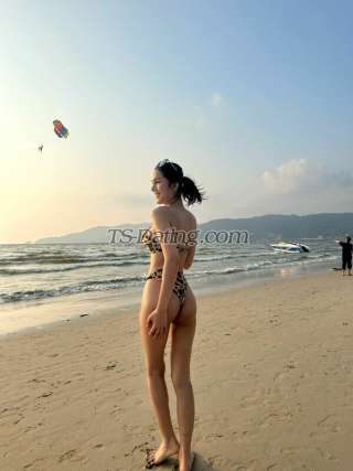 trans girl Tsbella 2089936