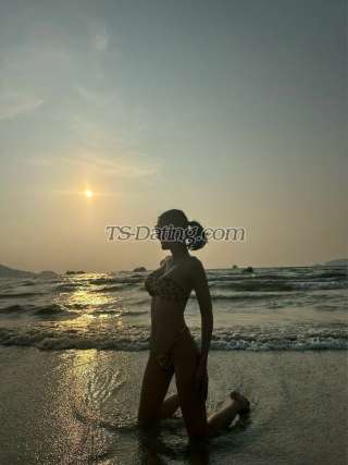 trans girl Tsbella 2089957