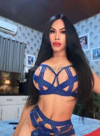 Ts cortez Brisbane Darwi Transex Hey dear let's meet me for good service Hottest & very fantastic spend your money for good service no bullshit but reality no dream believe me & make it happen you enjoy is my pleasure.

I'm available with my place to make you comfortable to stay with me so don't missing my goodness i'm very welcome to waiting for you.

I'm good person✔ nice attitude, ✔polite, ✔young, ✔sexy,✔ hot, ✔fresh, ✔healty,✔safety & clean 💯✔i can make you happy in the bed and let's cum together dear with my fantasi 💦💦💦
I'M AVAILABLE FOR 
~~~PAY.PAL💰💸~~~

REAL PIC/NOT PHOTO SHOOT/👉💯📸📸📸✔


-girlsfriend experience✔
-top&bottom✔
-versatile ✔
-big cock ✔
-hard dick✔
-aggressive ✔
-french kissing ✔
-sensual massage ✔
-Good sucking 69✔
-active/passive✔
-crazysex ✔
-Aggressive ✔

👉NEVER TRY NEVER KNOW👌

WHATSAPP+610422776082📱📲 // 

DON'T WASTING MY TIME#NO DRAMA#//TO MUCH ASK//BLOCK#

#NO BULLSHIT#ONLY SERIOUS#