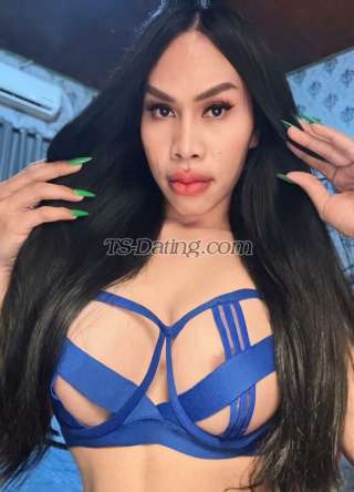 trans girl Tscortez 9099462