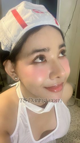 trans girl Tslolly 6498146 trans girl Tslolly 6498146